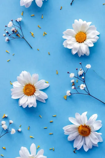 Blue Flower Background