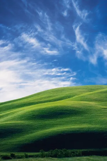 Landscape Mobile