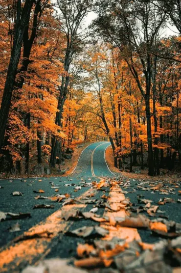 Road Fall